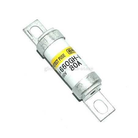 Italweber BS88 W-660GH-80A ,Ebat 17x48,80 Amper,aR Hızlı,Vidalı Sigorta