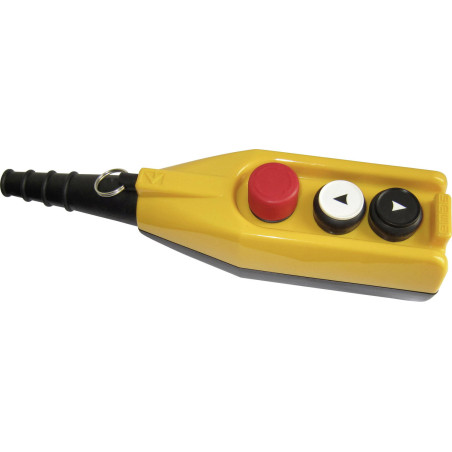 Emas PV3E30B2 ,2xTek Hız Buton,Acil Buton,Vinç Kumanda