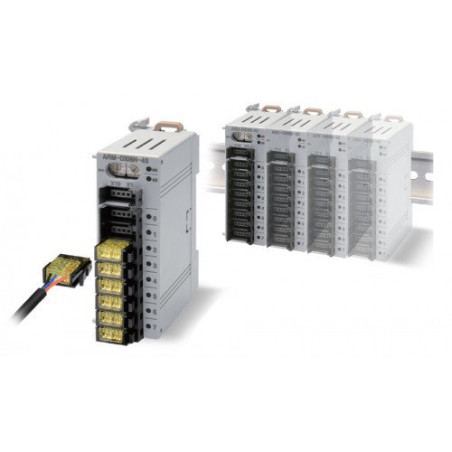 Autonics ARM-DI08P-4S ,Besleme 24vdc,Giriş 8-PNP,RS485,Plc Ek Modül