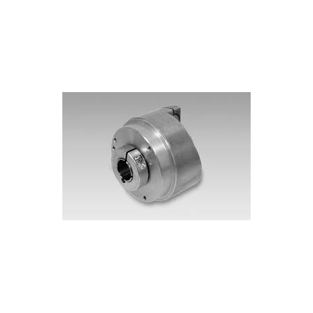 Baumer ITD21H00-2048TNI-S21SG8 ,Gövde 58mm,Delik 14mm,Besleme 5vdc,Çıkış 2-HTL 2048-Pals,4-Kablo,Enkoder