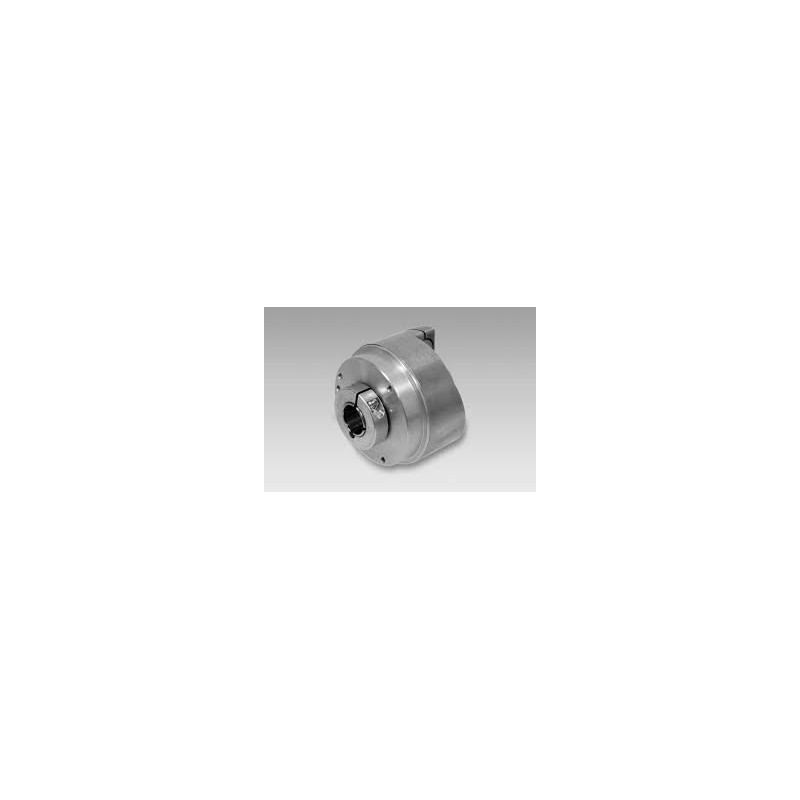 Baumer ITD21H00-2048TNI-S21SG8 ,Gövde 58mm,Delik 14mm,Besleme 5vdc,Çıkış 2-HTL 2048-Pals,4-Kablo,Enkoder