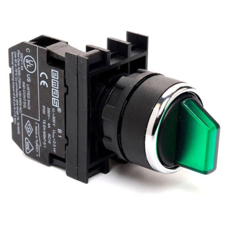 Emas B100SL20Y ,Montaj 22mm,2-Konum Kontak-1A,Yeşil Kalıcı,M22 Anahtar