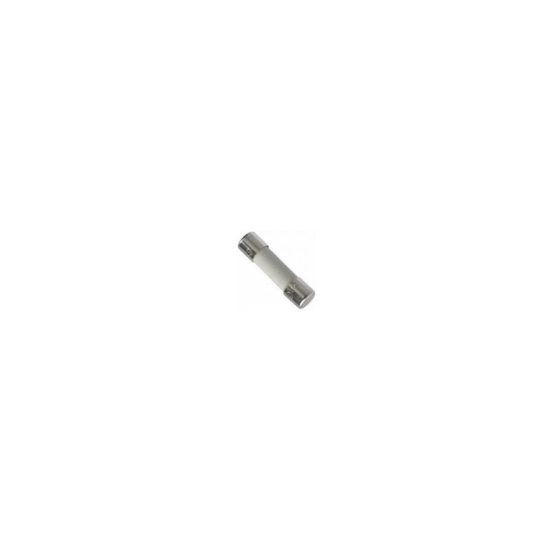 HollyFuse 6x32-6A ,Ebat 6x32mm,6 Amper,Porselen Sigorta